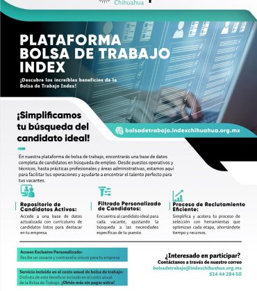 bolsa de trabajo index