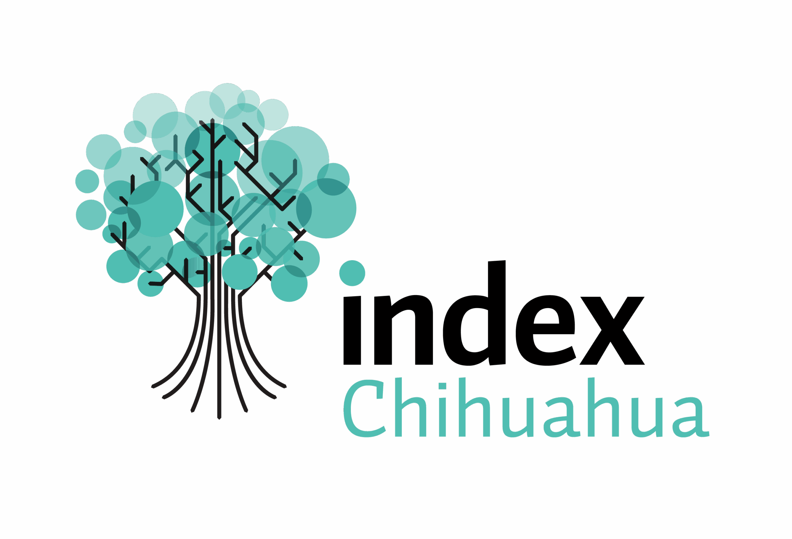 Index Chihuahua